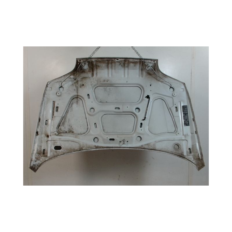 CAPOT RENAULT CLIO