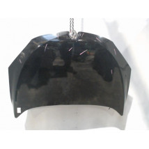CAPOT RENAULT MEGANE III ESTATE 09-