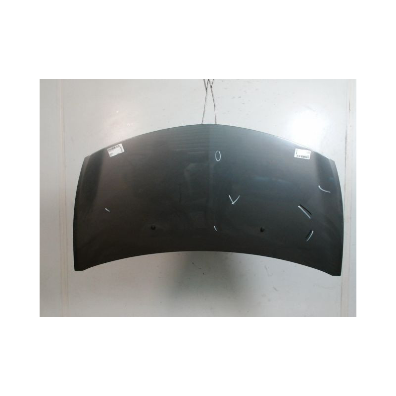 CAPOT RENAULT CLIO