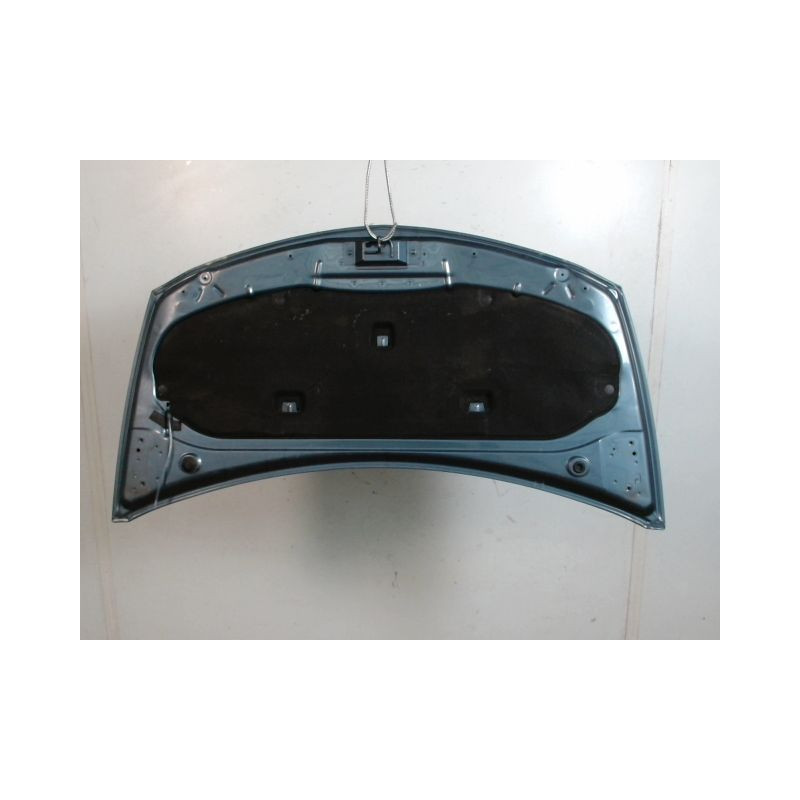 CAPOT RENAULT CLIO