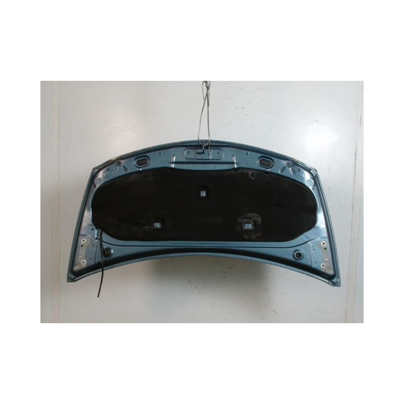 CAPOT RENAULT CLIO