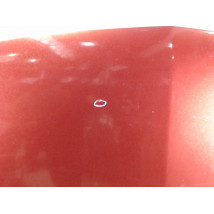 CAPOT DACIA LOGAN MCV 2007-