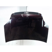 CAPOT FORD FUSION 2005-
