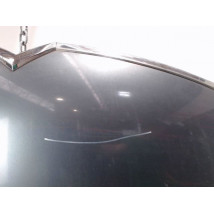 CAPOT CITROEN C4 PICASSO LONG
