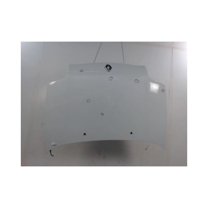 CAPOT RENAULT CLIO