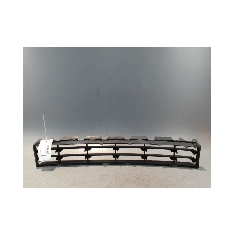 GRILLE PARE-CHOC AVANT RENAULT MEGANE II PH1 02-05
