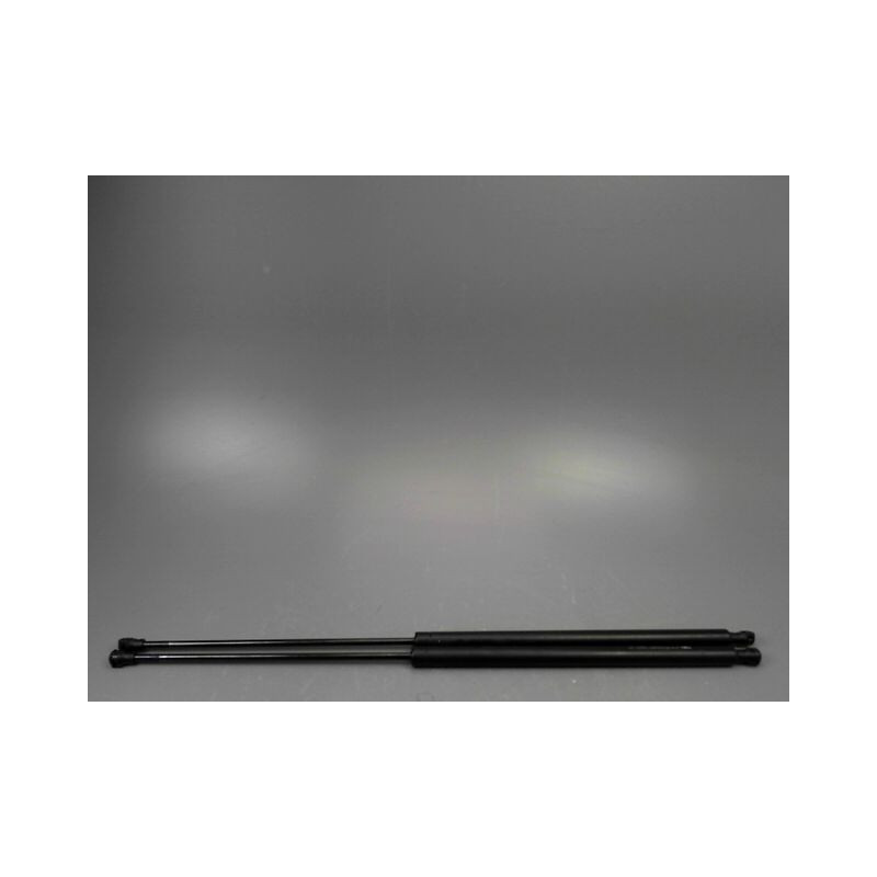 VERIN HAYON G CITROEN XSARA PICASSO MONOSP. 1999-2010