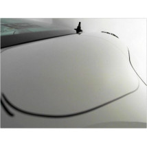 HAYON PEUGEOT 207 06-13