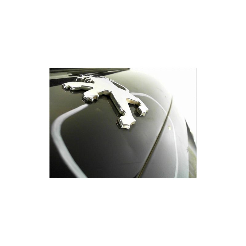HAYON PEUGEOT 207 2006-2013