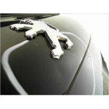 HAYON PEUGEOT 207 2006-2013