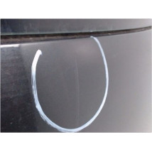 HAYON RENAULT GRD SCENIC II PH2 06-09