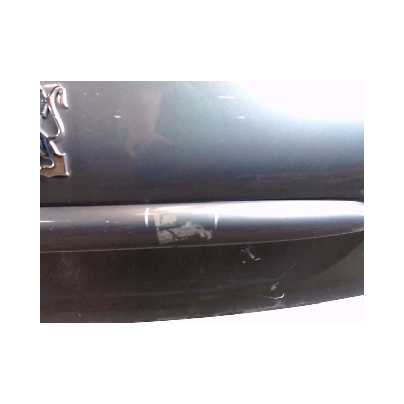 HAYON PEUGEOT 206 5P