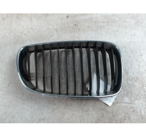 GRILLE CALANDRE D