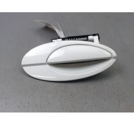 POIGNEE EXT PORTE ARD