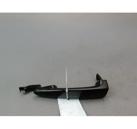 POIGNEE EXT PORTE ARG