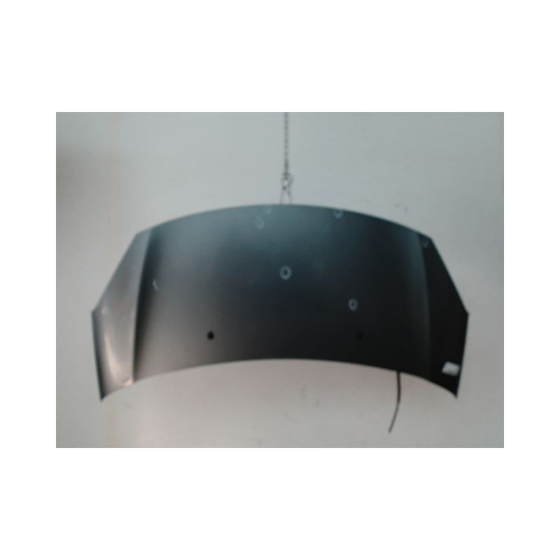 CAPOT CITROEN C3