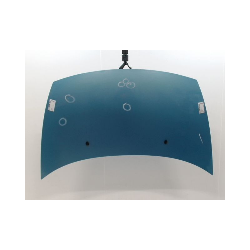 CAPOT CITROEN C3 I Phase 1 2002-2005