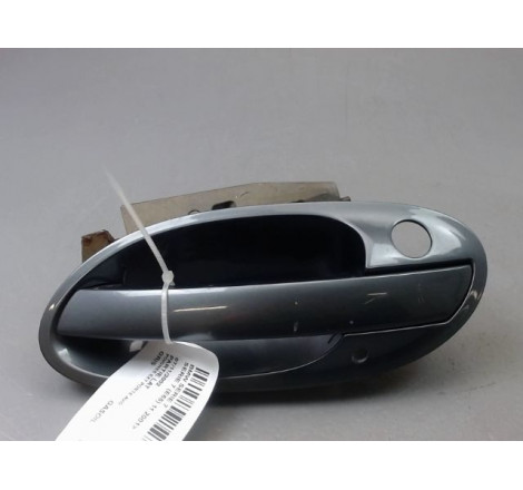 POIGNEE EXT PORTE AVG
