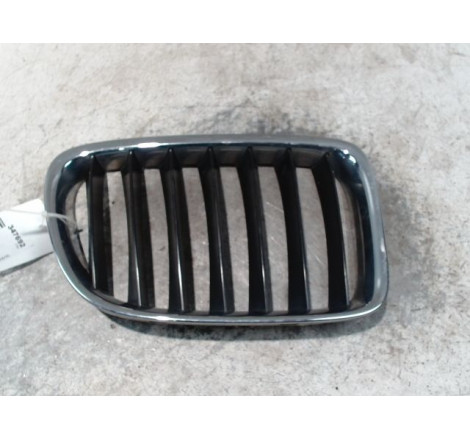 GRILLE CALANDRE D