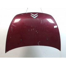 CAPOT CITROEN C3