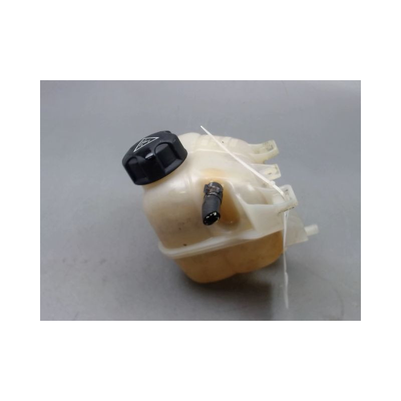 VASE EXPANSION MINI MINI I Phase 2 (R50/R53) 2004-2006