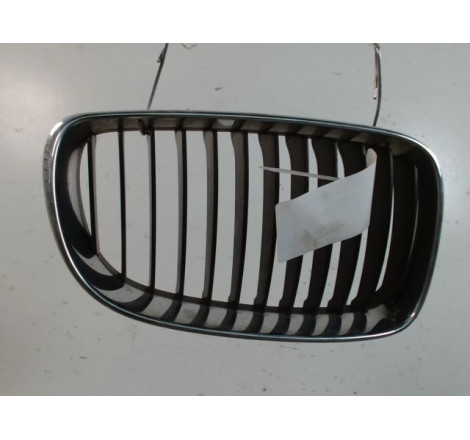 GRILLE CALANDRE D