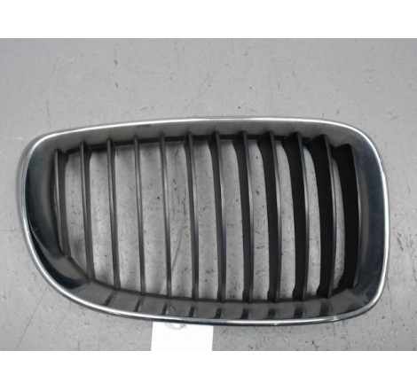 GRILLE CALANDRE D