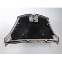 CAPOT CITROEN C4