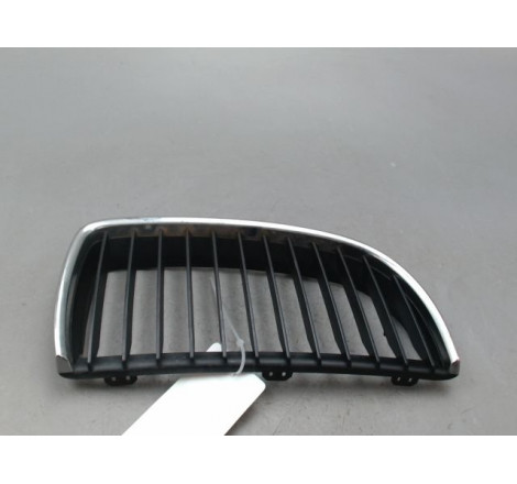 GRILLE CALANDRE D