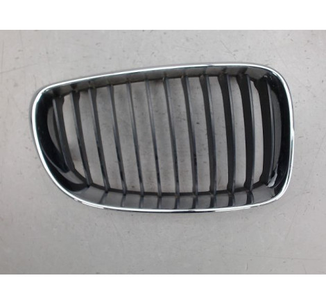 GRILLE CALANDRE D