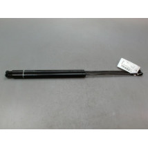 VERIN HAYON G CITROEN XSARA PICASSO MONOSP. 1999-2010