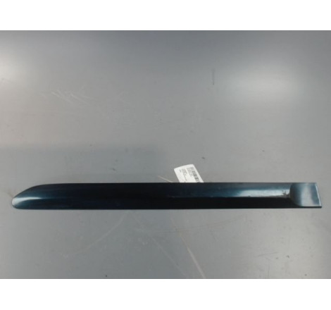 PROTECTION PORTE ARG