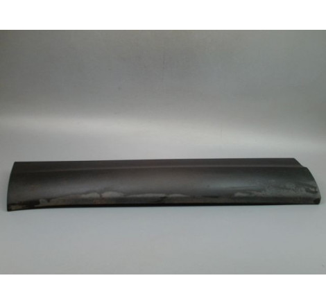 PROTECTION PORTE AVG