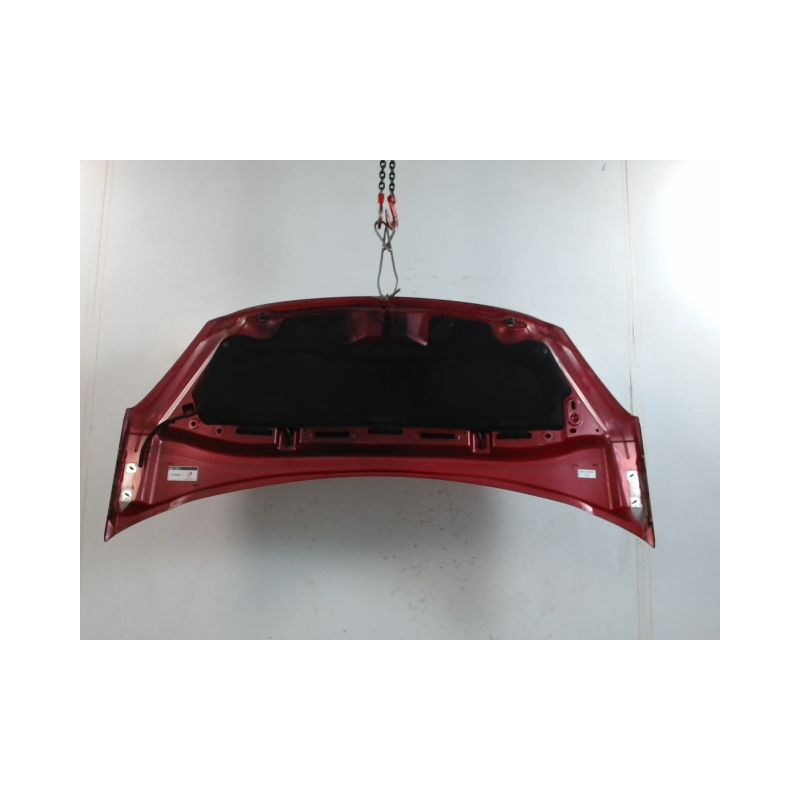 CAPOT CITROEN DS3