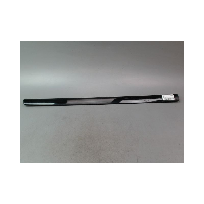 PROTECTION PORTE AVANT GAUCHE VOLKSWAGEN POLO IV Phase 2 (9N) 2005-2009