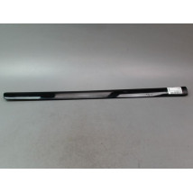 PROTECTION PORTE AVANT GAUCHE VOLKSWAGEN POLO IV Phase 2 (9N) 2005-2009