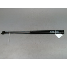 VERIN HAYON G CITROEN C4 PICASSO MONOSP. I 2007-2013