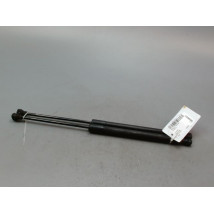 VERIN HAYON G RENAULT SCENIC MONOSP. III Phase 1 2009-2011