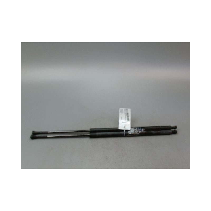 VERIN HAYON G RENAULT GRAND SCENIC MONOSP. III Phase 1 LONG 2009-2011