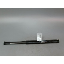 VERIN HAYON G RENAULT GRAND SCENIC MONOSP. III Phase 1 LONG 2009-2011