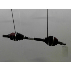TRANSMISSION AVG