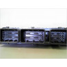 CALCULATEUR MOTEUR RENAULT CLIO III PH.2 09-14