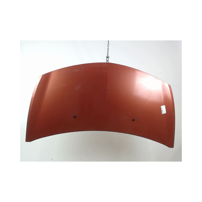 CAPOT RENAULT CLIO III 2005-