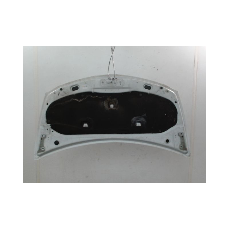 CAPOT RENAULT CLIO
