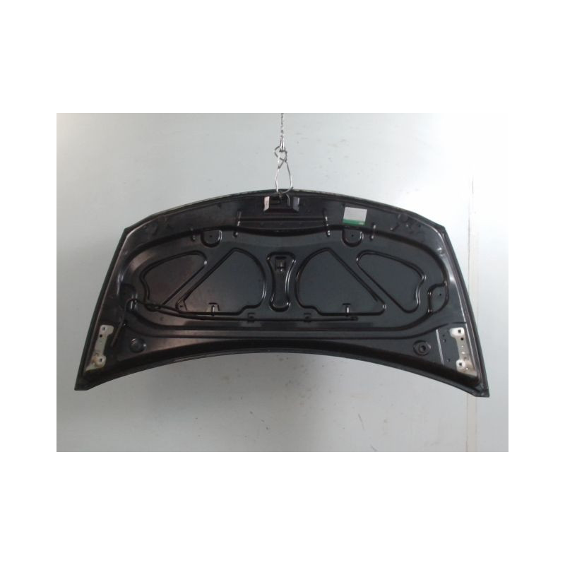 CAPOT RENAULT CLIO