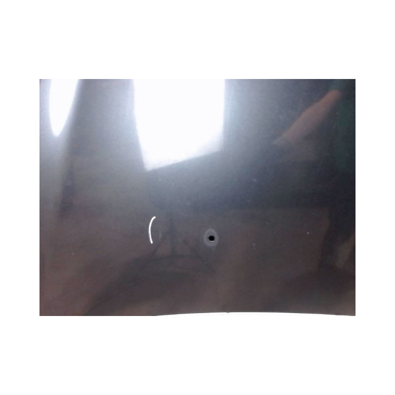 CAPOT RENAULT CLIO III 2005-