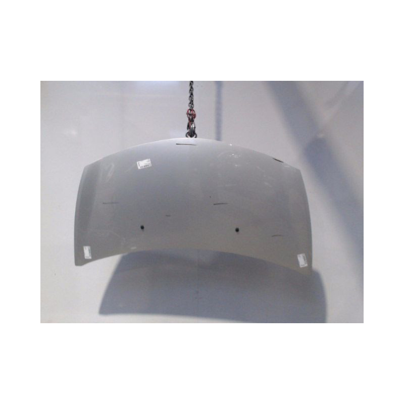 CAPOT RENAULT CLIO III 2009-