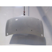 CAPOT RENAULT CLIO III 2009-