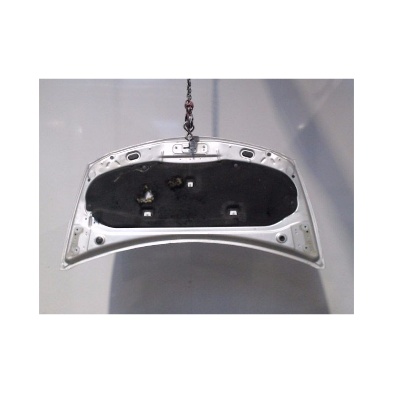 CAPOT RENAULT CLIO III 2009-