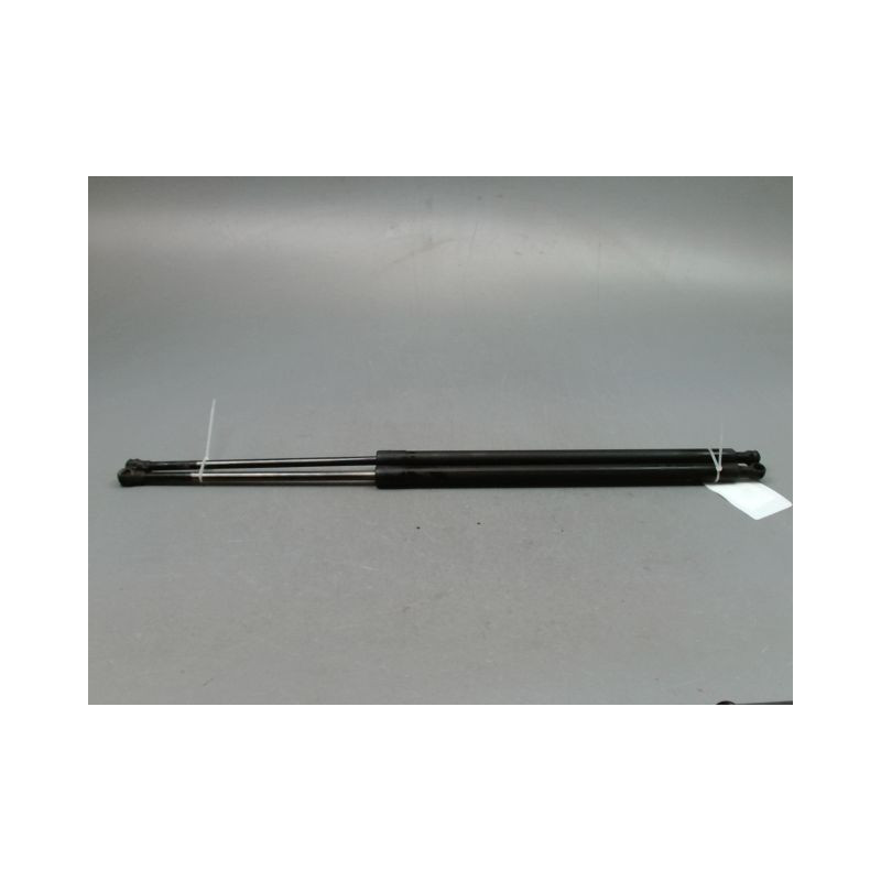 VERIN HAYON G RENAULT GRAND SCENIC MONOSP. III Phase 1 LONG 2009-2011